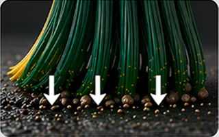 curved-bristles-maintain-ground-contact.jpg